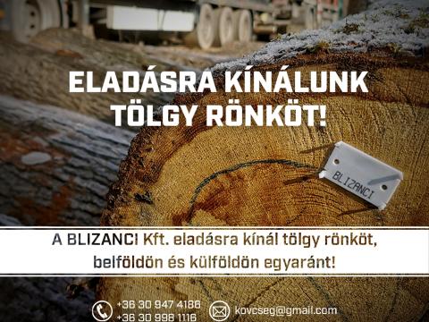 A BLIZANCI Kft. eladásra kínál tölgy rönköt A BLIZANCI Kft. eladásra kínál tölgy rönköt