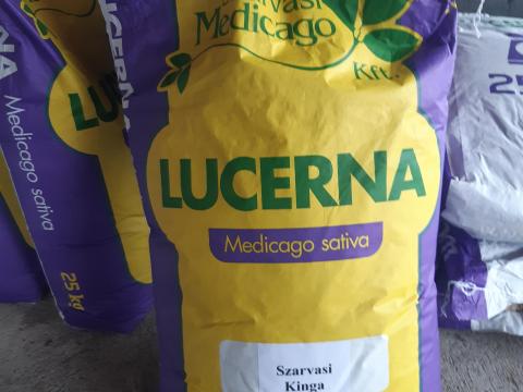 Lucerna vetőmag eladó Dévaványán Lucerna vetőmag eladó Dévaványán