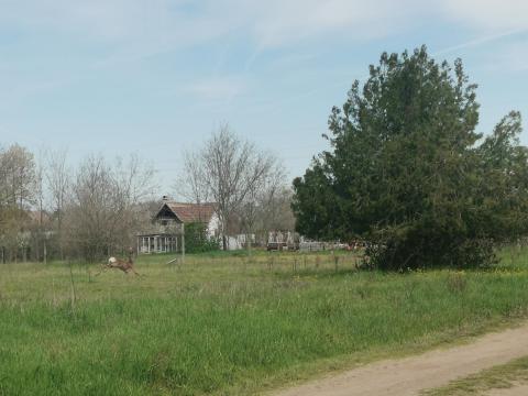 Baja zártkert eladó