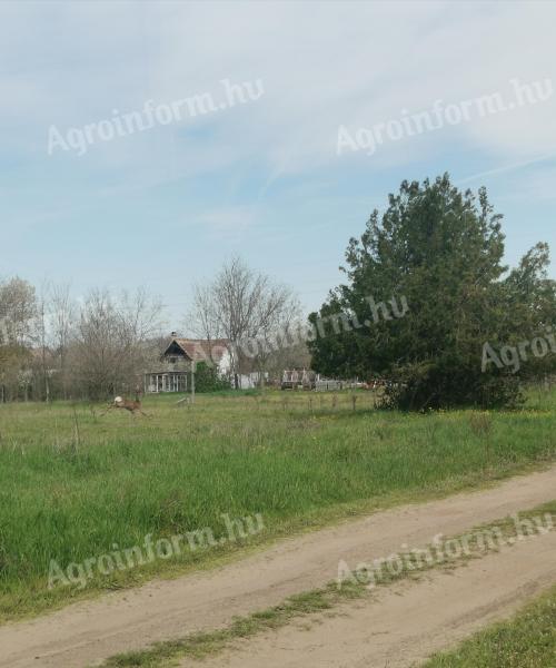 Baja zártkert eladó