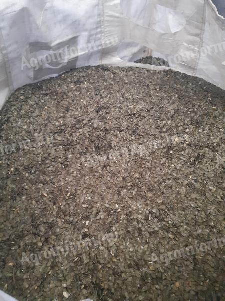 Eladó 2025-ös termésű héjnélküli olajtökmag