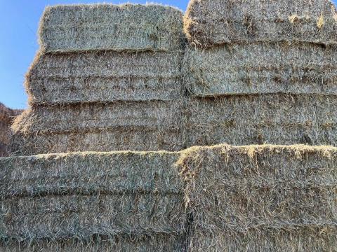 Angol perje széna nagy kockabála eladó Angol perje széna nagy kockabála eladó