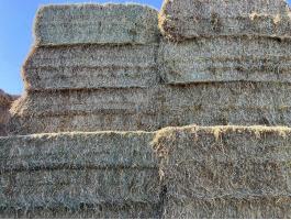 Angol perje széna nagy kockabála eladó