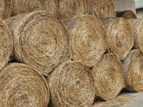 Szénabálák eladók