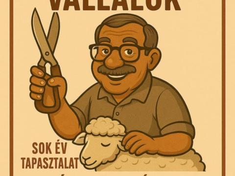 Birkanyírás és körmölés az ország egész területén