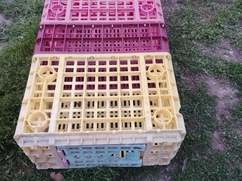 Baromfi szállító ketrec eladó Baromfi szállító ketrec eladó