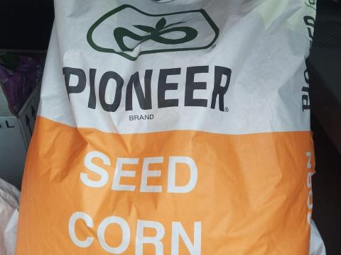 Pioneer kukorica vetőmag fémzárolt bontatlan zsákok