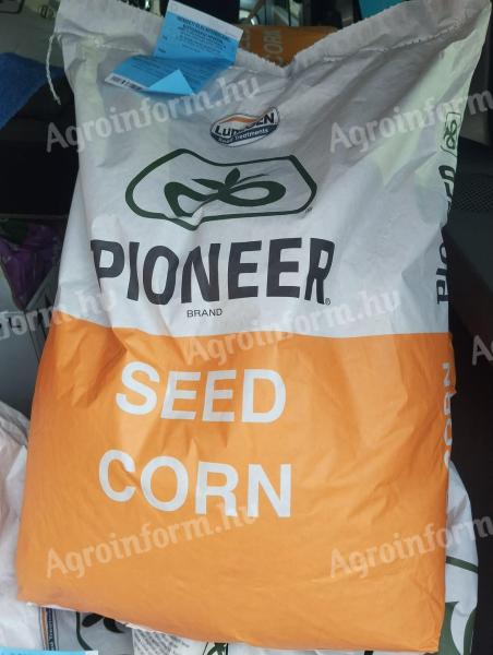 Pioneer kukorica vetőmag fémzárolt bontatlan zsákok