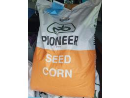 Pioneer kukorica vetőmag fémzárolt bontatlan zsákok