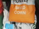 Pioneer kukorica vetőmag fémzárolt bontatlan zsákok