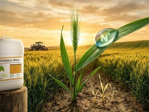 FitoNatur Nitro – 20 literes prémium nitrogén lombtrágya mikroelemekkel – Hatékonyság a növények számára FitoNatur Nitro – 20 literes prémium nitrogén lombtrágya mikroelemekkel – Hatékonyság a növények számára