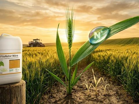 FitoNatur Nitro – 20 literes prémium nitrogén lombtrágya mikroelemekkel – Hatékonyság a növényekben FitoNatur Nitro – 20 literes prémium nitrogén lombtrágya mikroelemekkel – Hatékonyság a növényekben