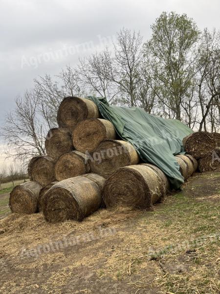 Lucerna bála 150-es, 100 db eladó
