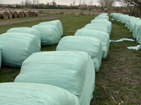 Lucerna bála zöld, fóliázva, 150-es – 40 db eladó