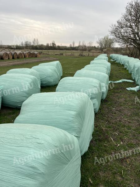 Lucerna bála zöld, fóliázva, 150-es – 40 db eladó