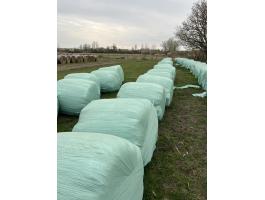 Lucerna bála zöld, fóliázva, 150-es – 40 db eladó