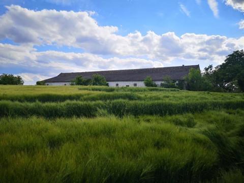 Gazdasági épület, udvar – 854 m² főépület 1,4 ha területen, opcionálisan bérelhető szántófölddel