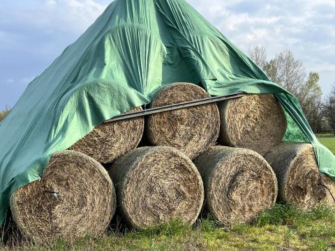 Rozs szalmabála eladó Rozs szalmabála eladó