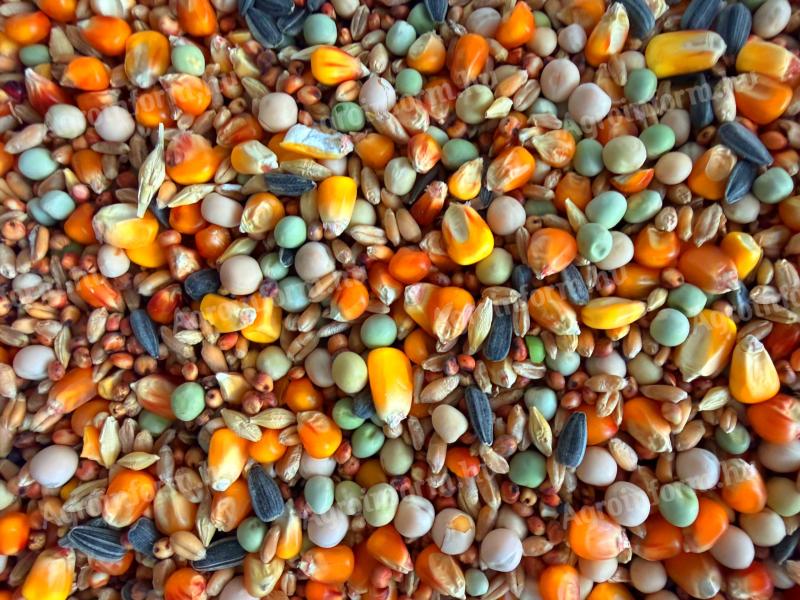 10 magos galambtakarmány bevezető áron