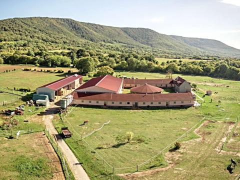 Sportlovarda és panzió a Mecsek lábánál eladó Sportlovarda és panzió a Mecsek lábánál eladó