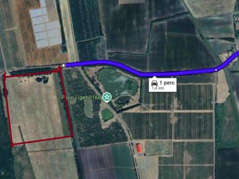 Nyírtass mezőgazdasági termőföld 18,95 ha legelő eladó Nyírtass mezőgazdasági termőföld 18,95 ha legelő eladó