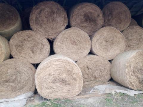 Jó minőségű takarmány lucerna bála eladó! Jó minőségű takarmány lucerna bála eladó!