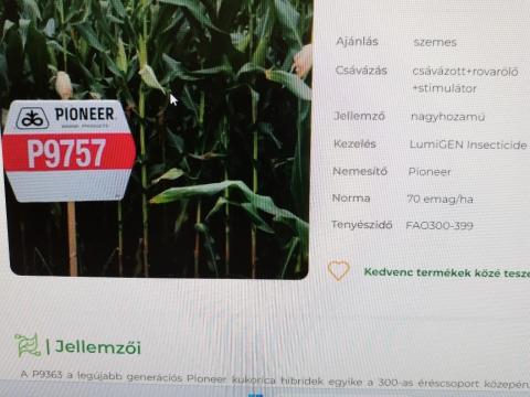 Kukorica vetőmag eladó Kukorica vetőmag eladó