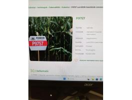 Kukorica vetőmag eladó