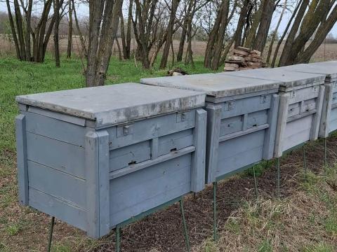 15 db MB18-as kaptár méhekkel együtt eladó Jászberényben