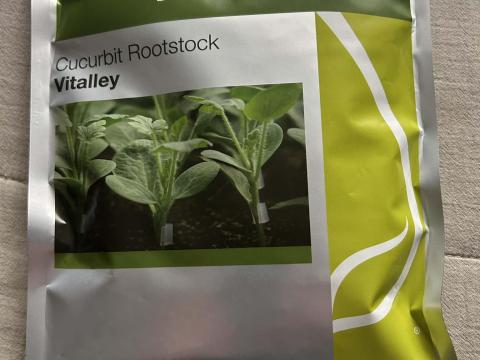 Vitalley tökmag eladó Vitalley tökmag eladó