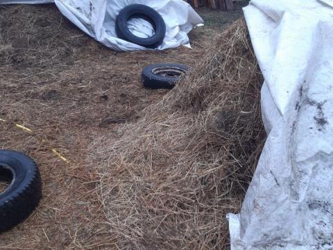 Ingyen elvihető széna és lucerna Budapesten Ingyen elvihető széna és lucerna Budapesten