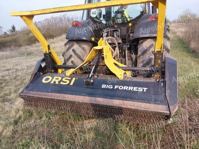 Orsi Big Forrest Dt 250