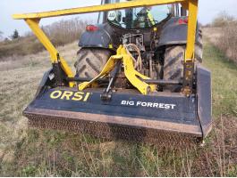 Orsi Big Forrest Dt 250