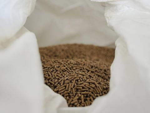 Búzakorpa pellet eladó közvetlenül a gyártótól