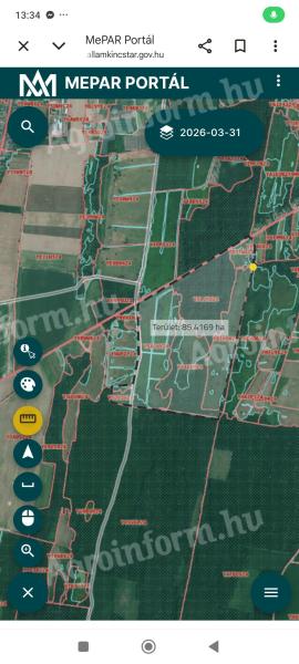 Rét, legelő Nagykanizsa határában, Natura 2000 területen