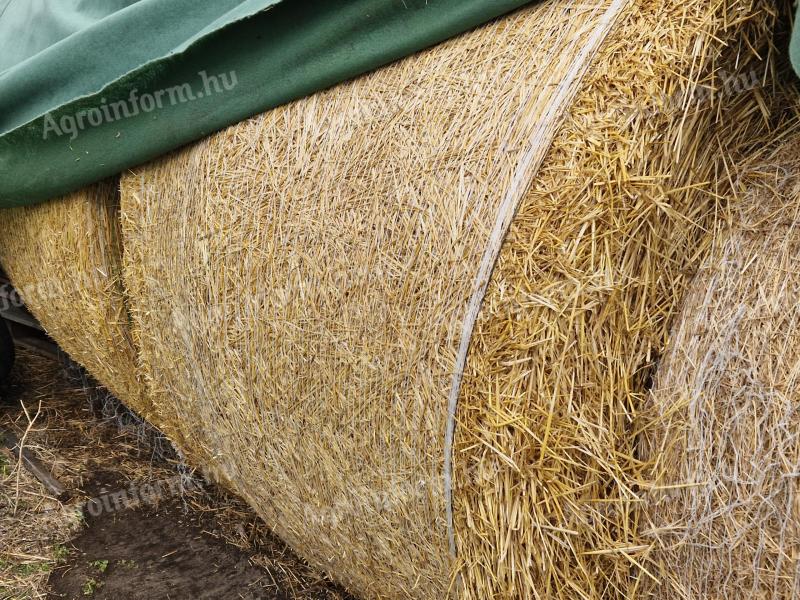 Eladó szalma bála