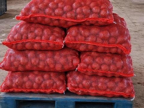 Apró burgonya eladó