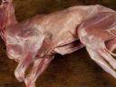 Kecske,  gida,  hús rendelhető őstermemlőtől. Kb.4-6 kg. lesz. Siófok