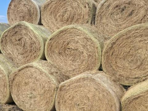 Nagybálás széna eladó