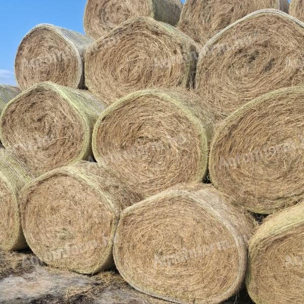 Nagybálás széna eladó