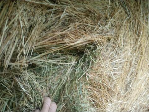 Körbálás réti széna