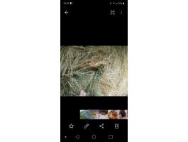 Körbálás réti széna