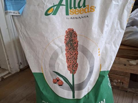 Lucerna és cirok vetőmag eladó