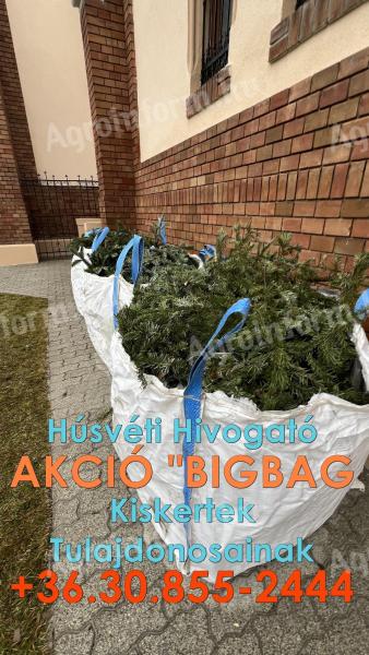 Gazolási ügyelet! BigBag zsák – Hívj indulás előtt! 20 536-0088 Húsvéti kert rendbetétel? Big-Bag zsák azonnal – április 4., szombat, 8–14 óráig