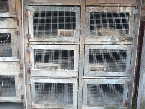 Nyúlketrec, nyúlól eladó