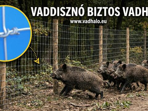 Vadháló, amely megszünteti a vadkárt