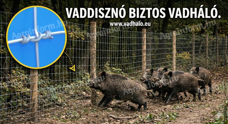 Vadháló, amely megszünteti a vadkárt
