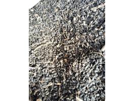 Eladó napraforgó HO