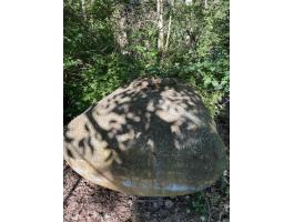 Vízszállító tartályok eladók