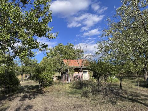 Eladó gyümölcsös Gyöngyös határában